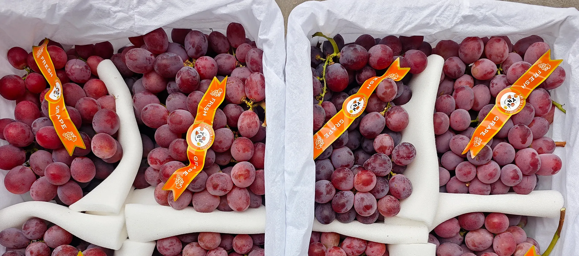 Supplier ng China Premium Fresh Grapes