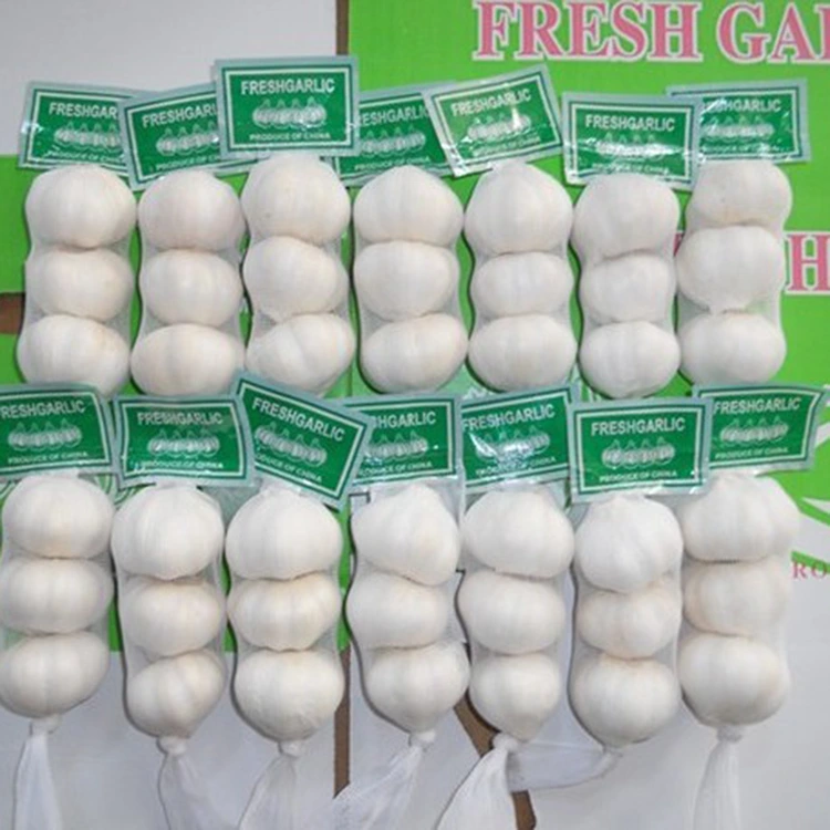 Bakit Ang Premium Fresh Garlic ang Preferred Choice para sa Quality-Conscious Buyers?