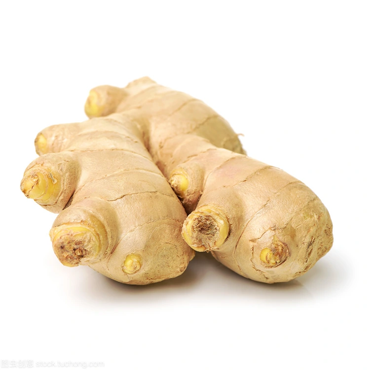 Bakit Ang Premium Fresh Ginger ang Preferred Choice para sa Quality-Conscious Buyers?