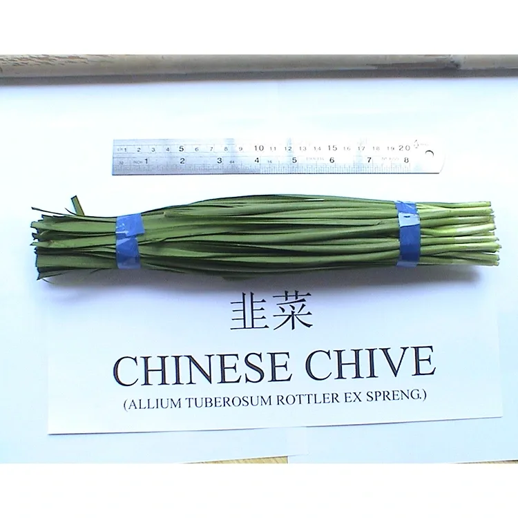 Bakit Malawakang Ginagamit ang Farm Fresh Chinese Chives sa Asian Cuisine?
