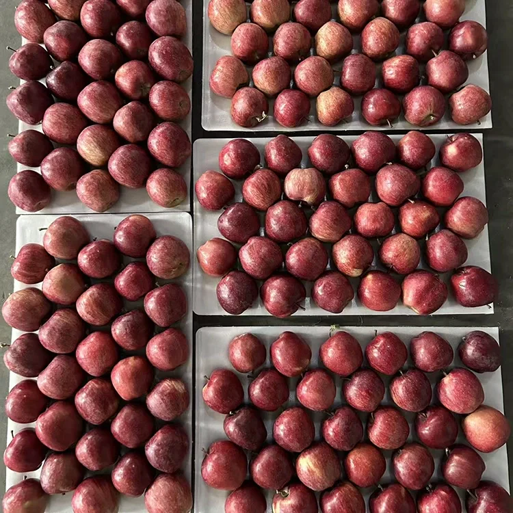 Maliwanag na Red Star Apples