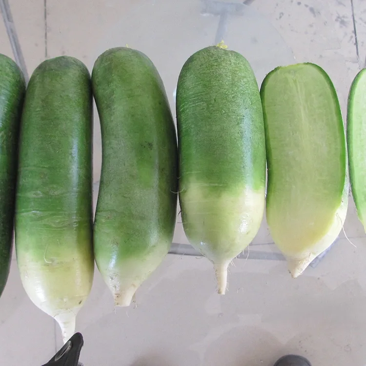 Malutong na Berdeng Labanos