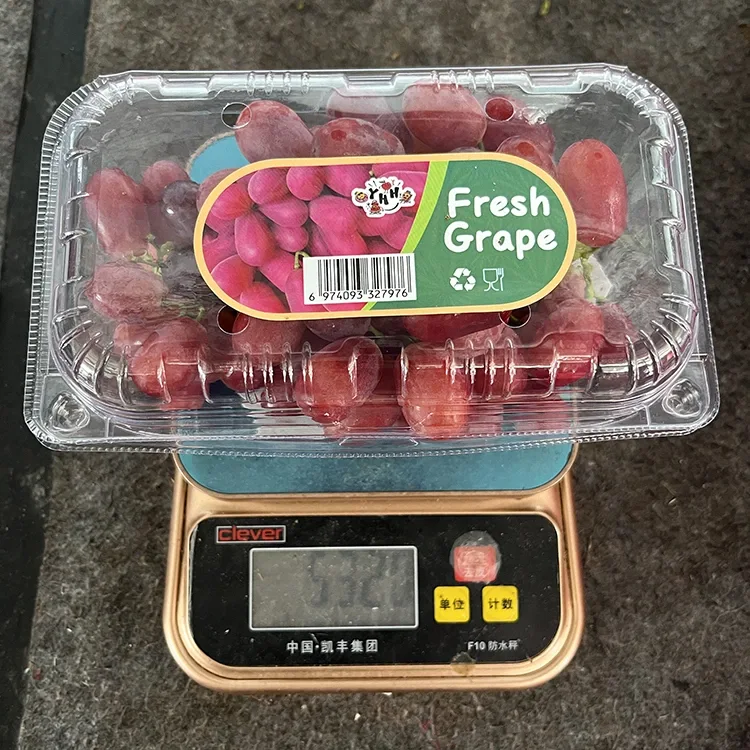 I-export ang Grade Fresh Crimson Seedless Grapes