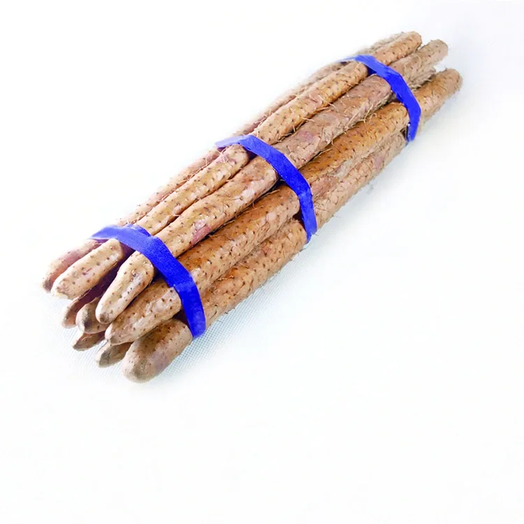 Sariwang Chinese Yam
