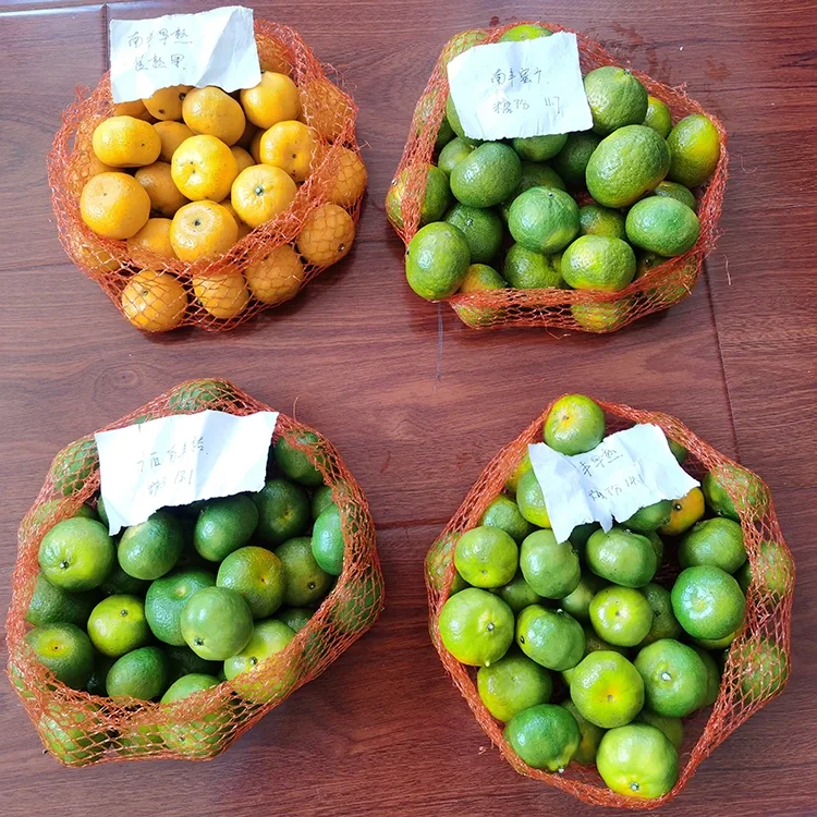Sariwang Honey Mandarin