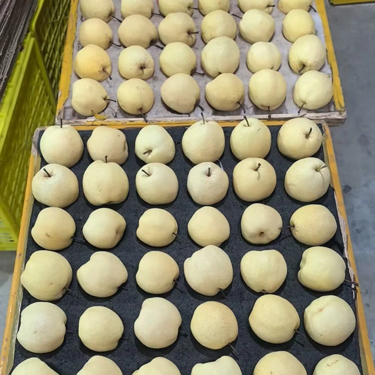Fresh-Picked Gong Pear