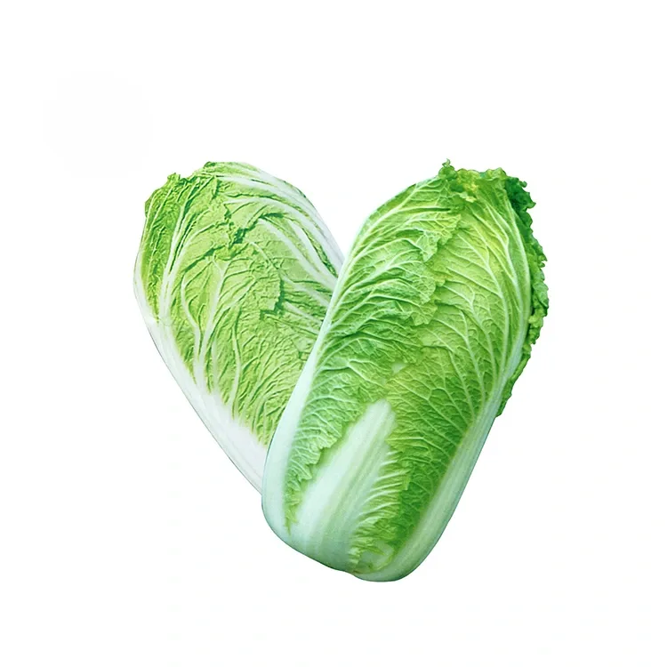 Hardin ng Fresh Chinese Cabbage