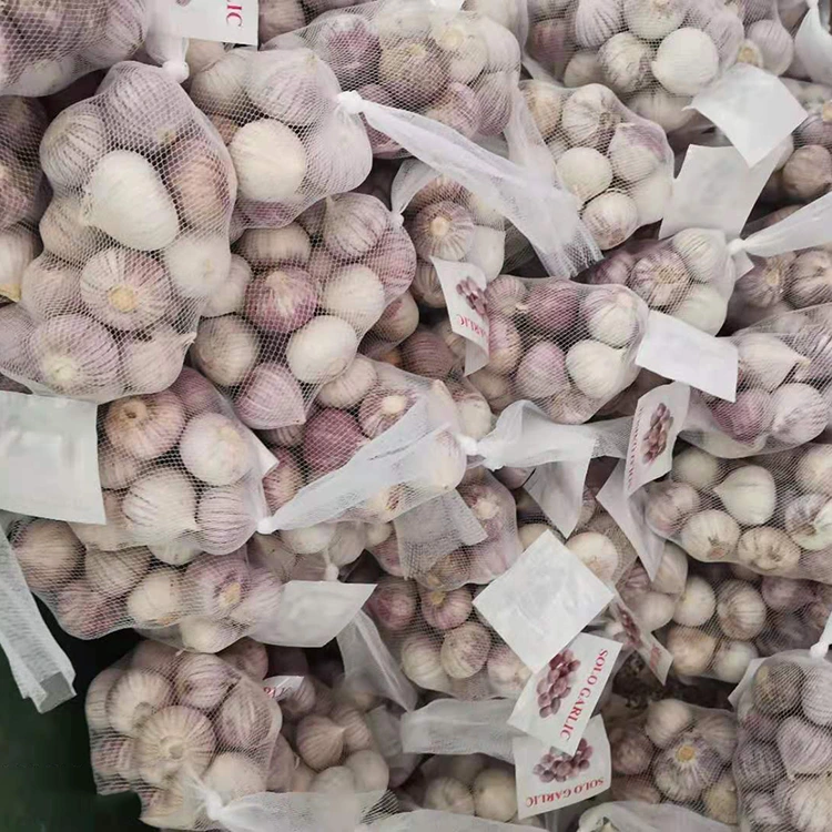 Mataas na Kalidad ng Single Clove na Bawang