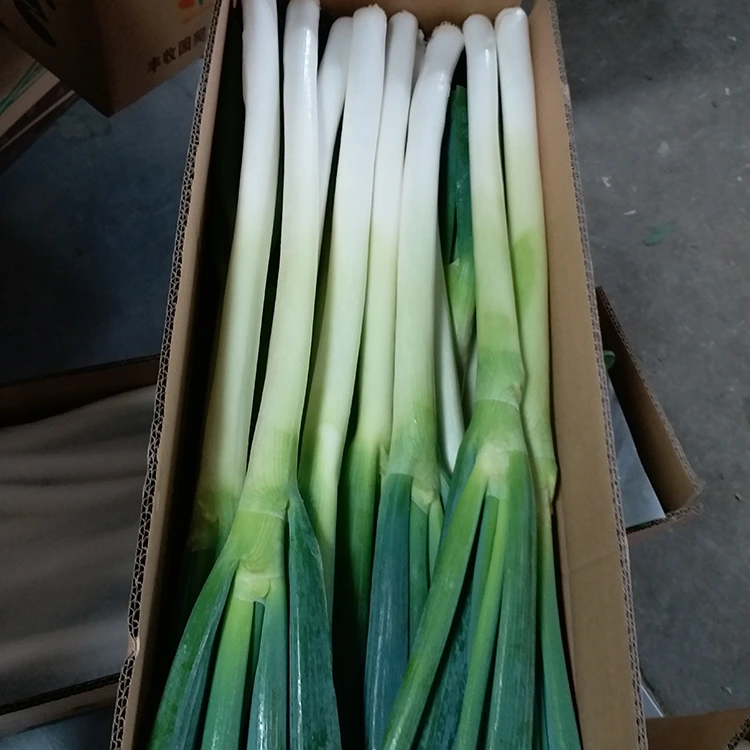 Naturally Grown Green Onions