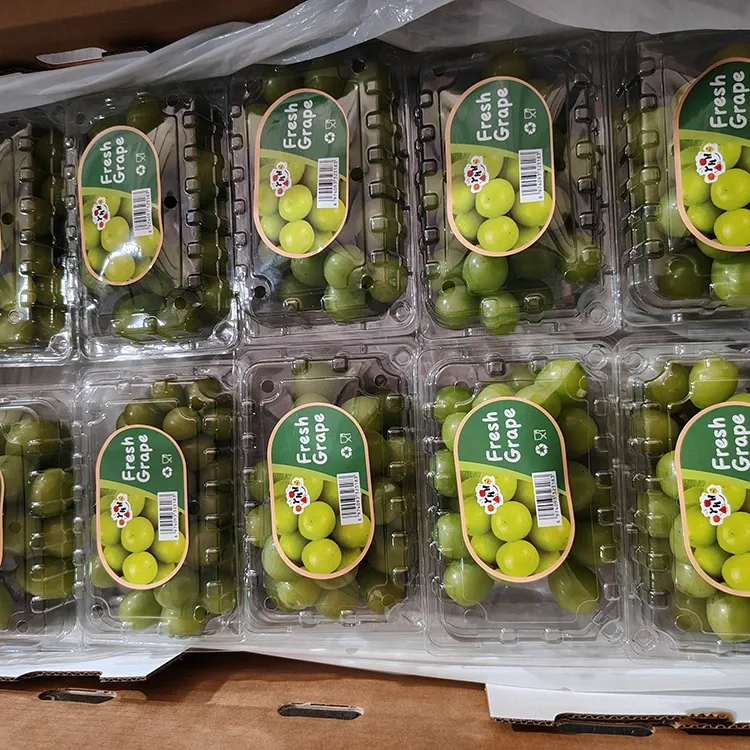 Mga Piniling Fresh Shine Muscat Grapes