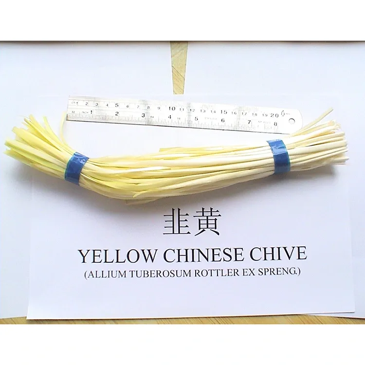 Malambot na Yellow Chives